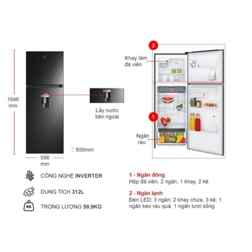 Kích thước tủ Lạnh 2 cánh Inverter 312 Lít Electrolux ETB3440M-H